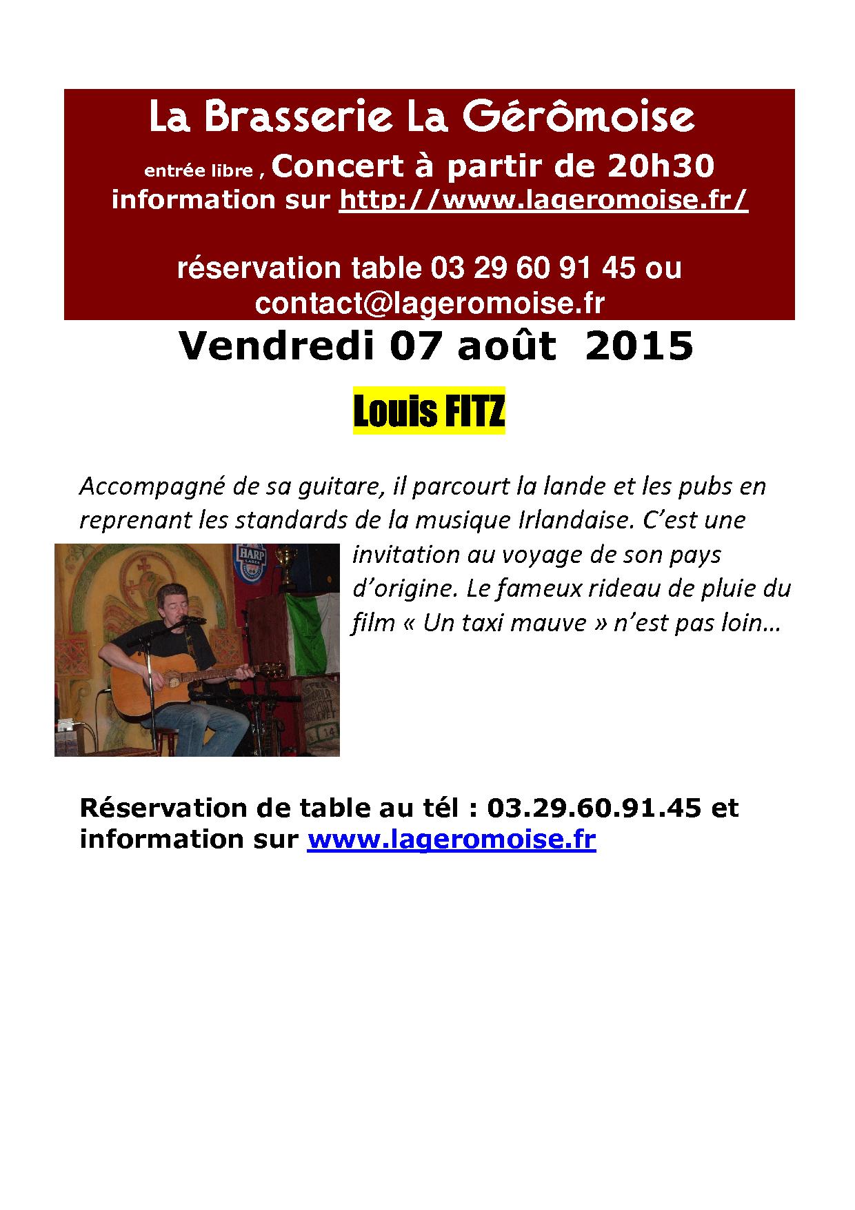concert-7-aout-2015-folk-louis-fitz.jpg